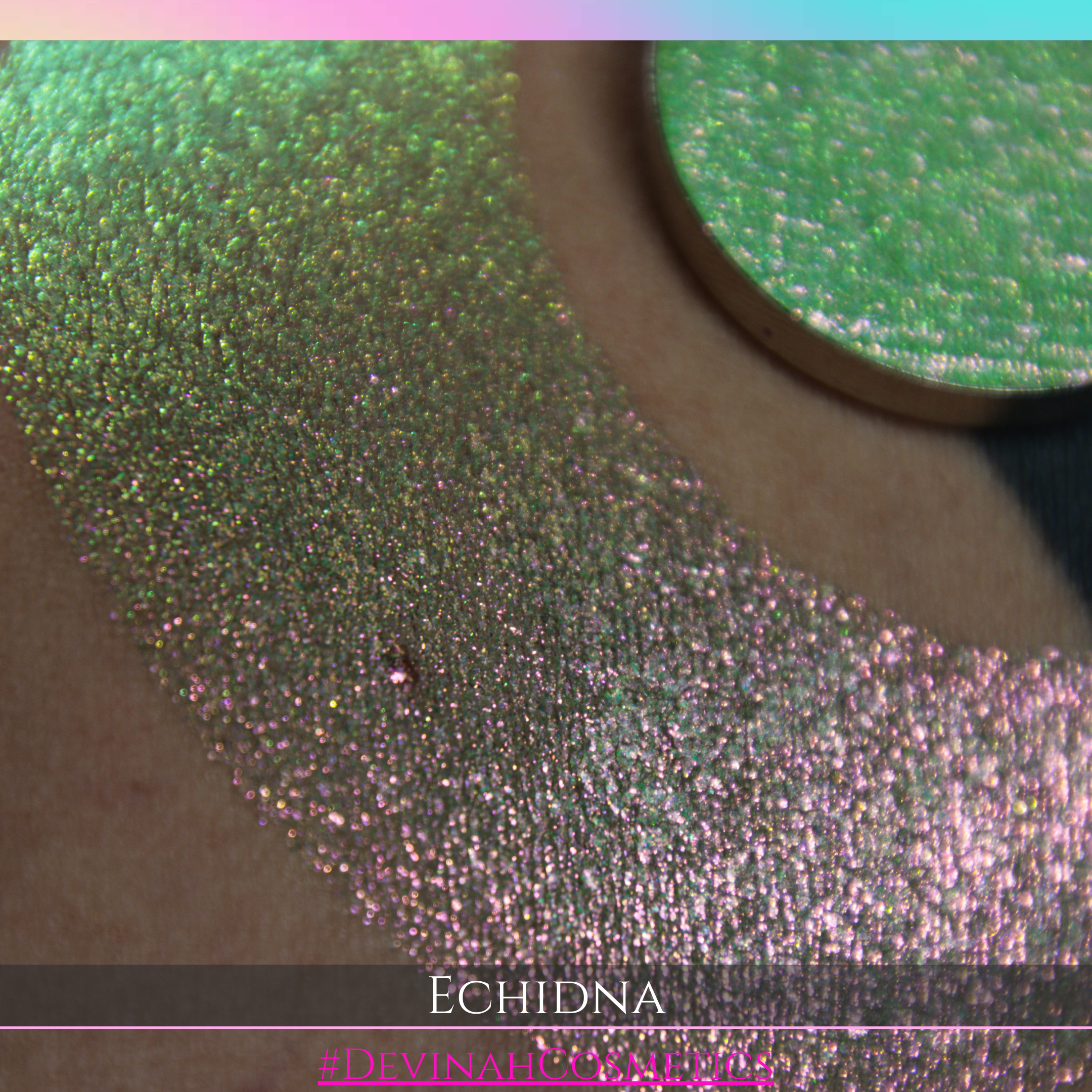 ECHIDNA Pressed Pigment