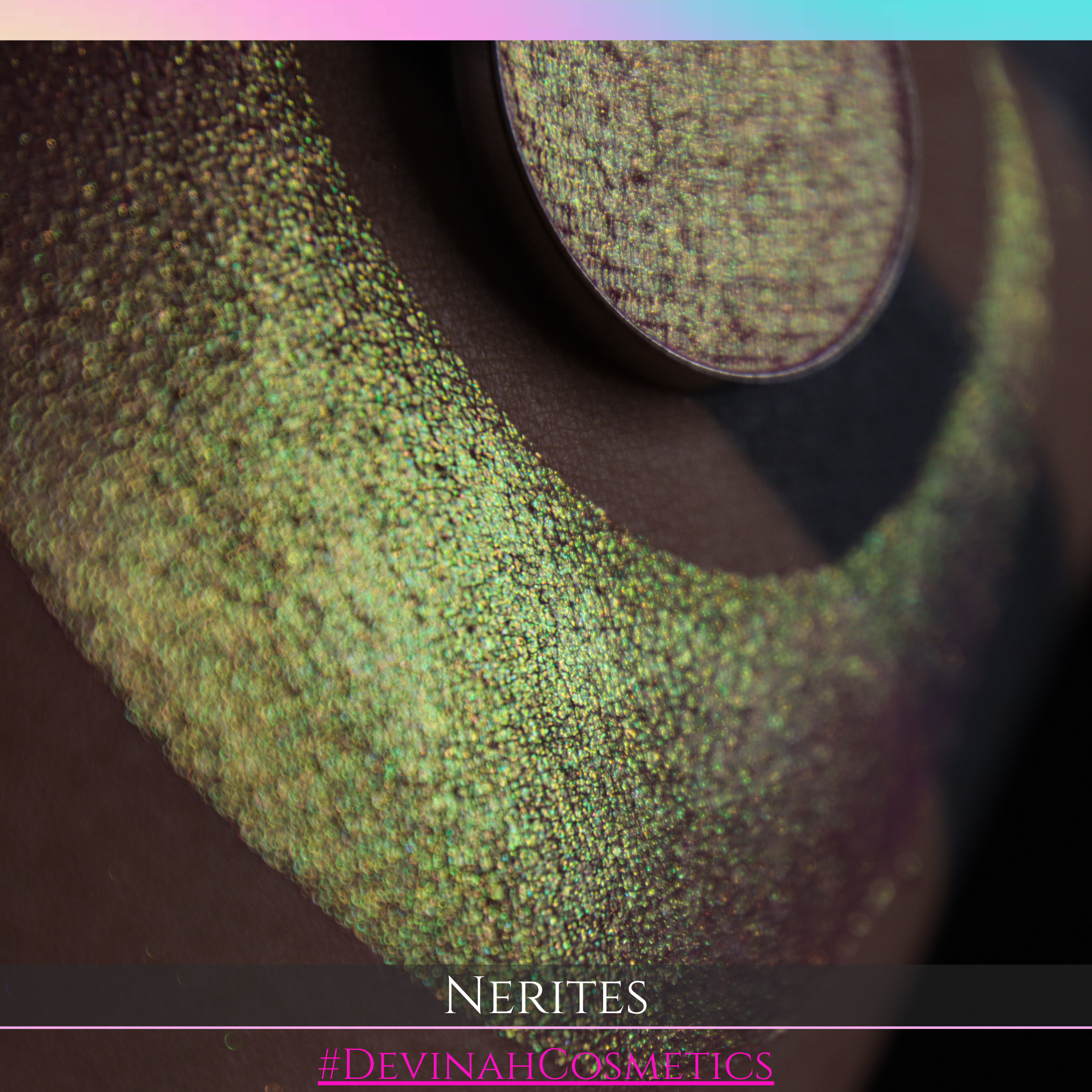 NERITES Pressed Pigment