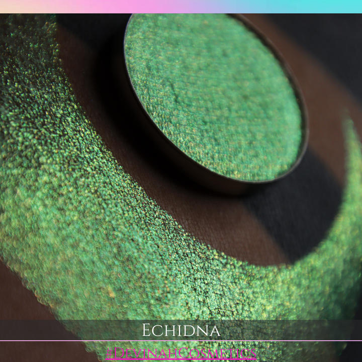 ECHIDNA Pressed Pigment