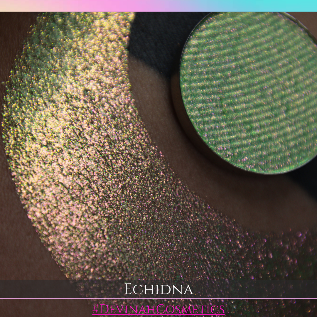 ECHIDNA Pressed Pigment