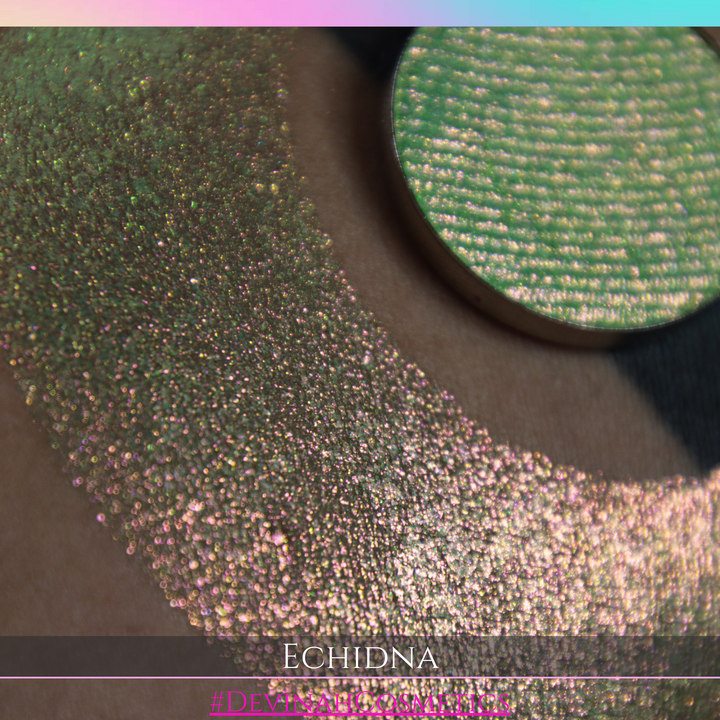 ECHIDNA Pressed Pigment