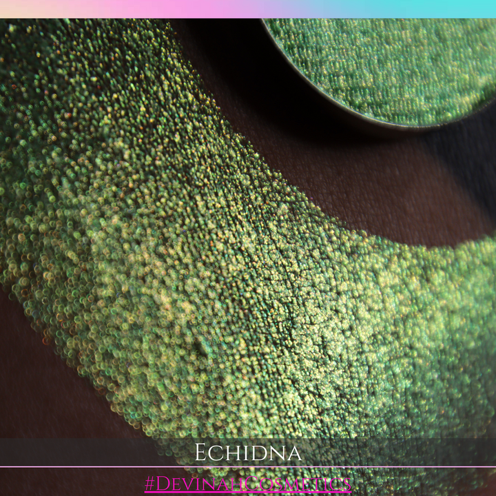 ECHIDNA Pressed Pigment