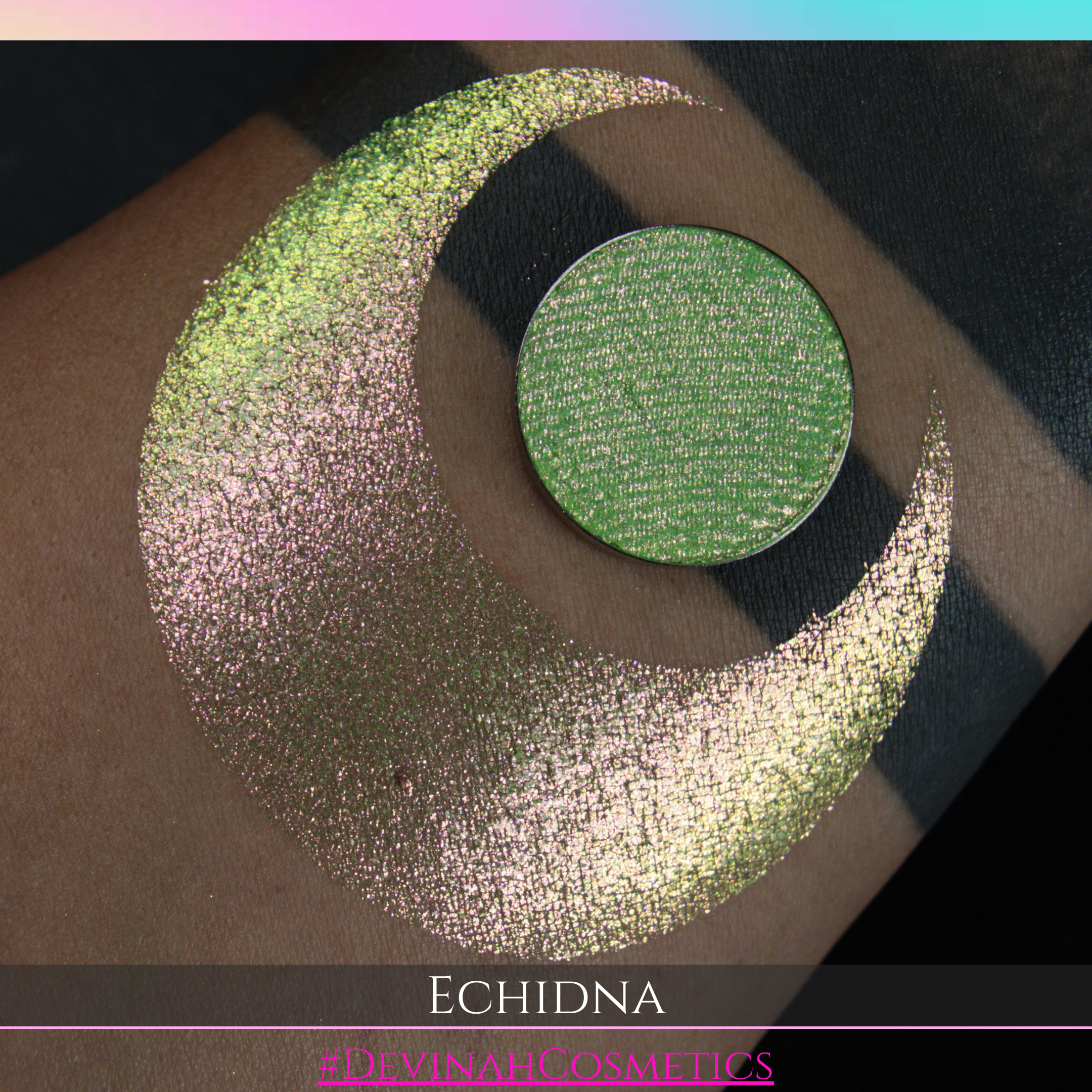 ECHIDNA Pressed Pigment