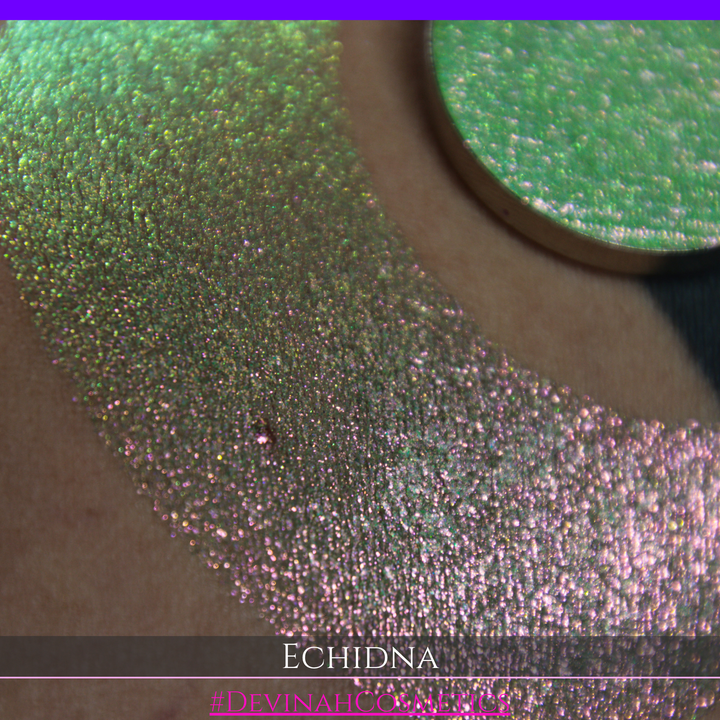 A round eyeshadow pan labeled 'ECHIDNA' made by Devinah Cosmetics, placed over a large crescent moon swatch of the same shimmering green-to-pink multichrome eyeshadow on skin. The eyeshadow has an iridescent, metallic finish shifting between  colors green, gold, and pink.