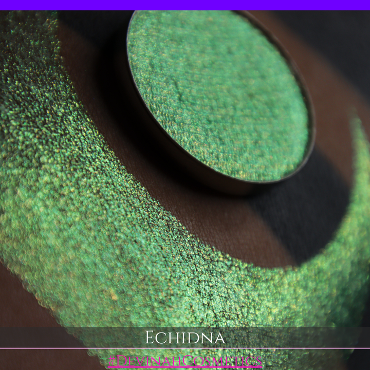 A round eyeshadow pan labeled 'ECHIDNA' made by Devinah Cosmetics, placed over a large crescent moon swatch of the same shimmering green-to-pink multichrome eyeshadow on skin. The eyeshadow has an iridescent, metallic finish shifting between  colors green, gold, and pink.