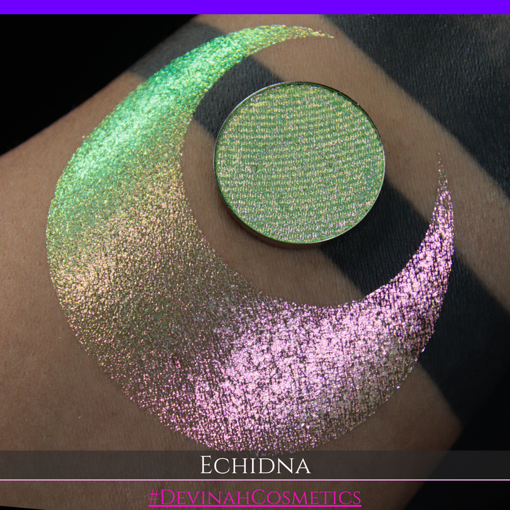 A round eyeshadow pan labeled 'ECHIDNA' made by Devinah Cosmetics, placed over a large crescent moon swatch of the same shimmering green-to-pink multichrome eyeshadow on skin. The eyeshadow has an iridescent, metallic finish shifting between  colors green, gold, and pink.