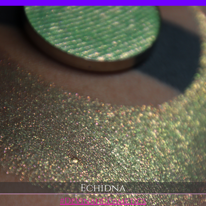 A round eyeshadow pan labeled 'ECHIDNA' made by Devinah Cosmetics, placed over a large crescent moon swatch of the same shimmering green-to-pink multichrome eyeshadow on skin. The eyeshadow has an iridescent, metallic finish shifting between  colors green, gold, and pink.