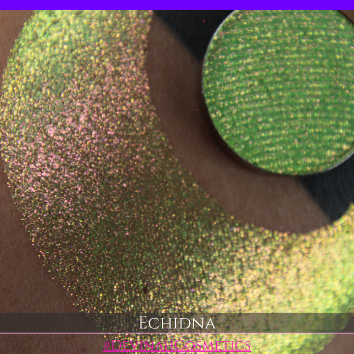 A round eyeshadow pan labeled 'ECHIDNA' made by Devinah Cosmetics, placed over a large crescent moon swatch of the same shimmering green-to-pink multichrome eyeshadow on skin. The eyeshadow has an iridescent, metallic finish shifting between  colors green, gold, and pink.