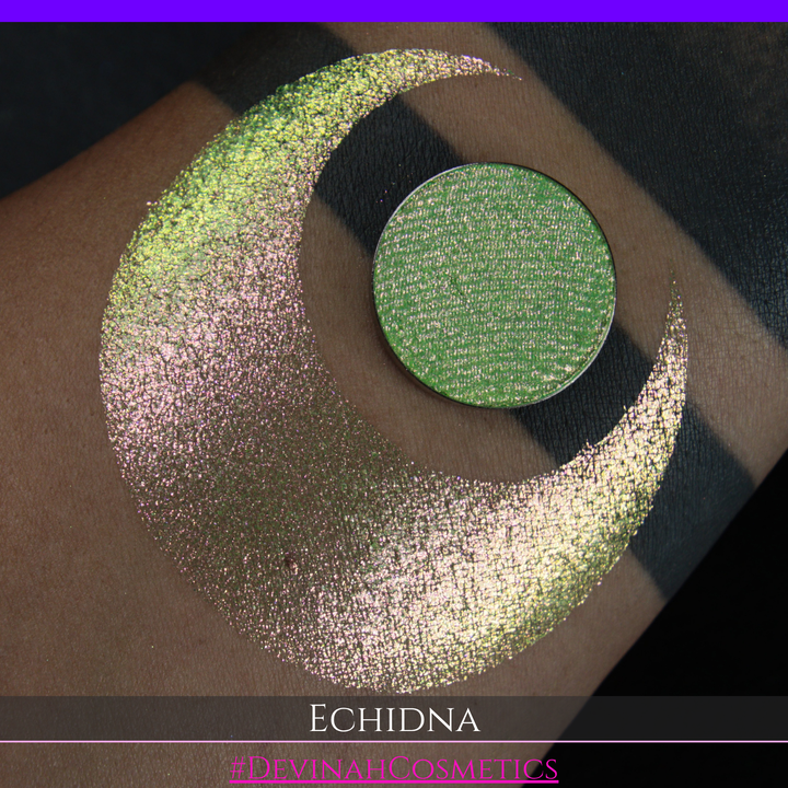 A round eyeshadow pan labeled 'ECHIDNA' made by Devinah Cosmetics, placed over a large crescent moon swatch of the same shimmering green-to-pink multichrome eyeshadow on skin. The eyeshadow has an iridescent, metallic finish shifting between  colors green, gold, and pink.