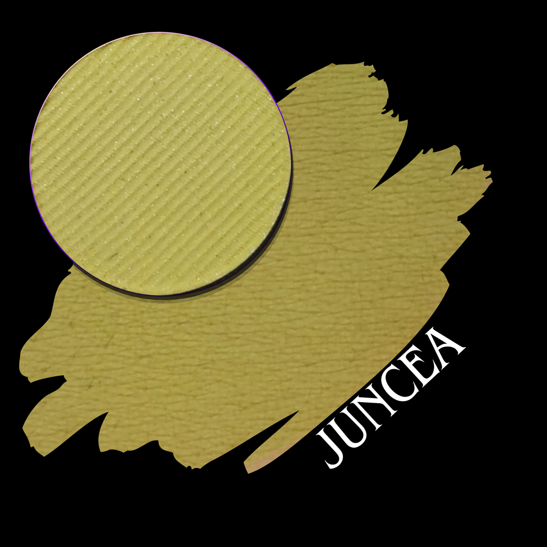 A yellow gold swatch with a circular makeup eyeshadow pan, set against a black background with the color name 'JUNCEA' in white text.