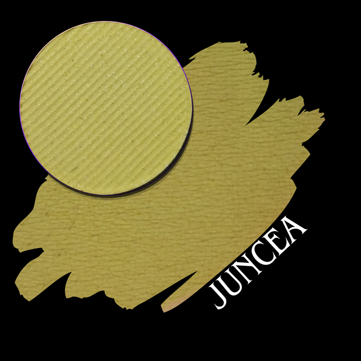 A yellow gold swatch with a circular makeup eyeshadow pan, set against a black background with the color name 'JUNCEA' in white text.